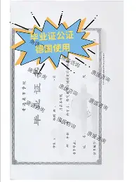 字母哥主教练3选1球迷热议(字母哥被交易至热火NBA官宣)|